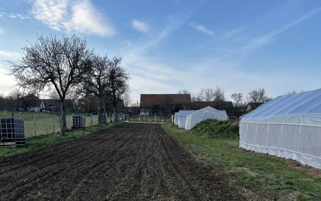 Jak vznikla květinová farma Napučené